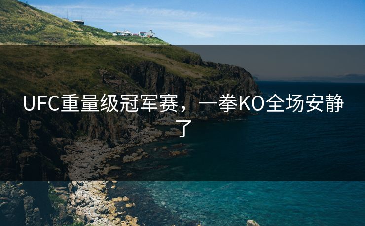 UFC重量级冠军赛,一拳KO全场安静了 UFC重量级冠军赛,一拳KO全场安静了
