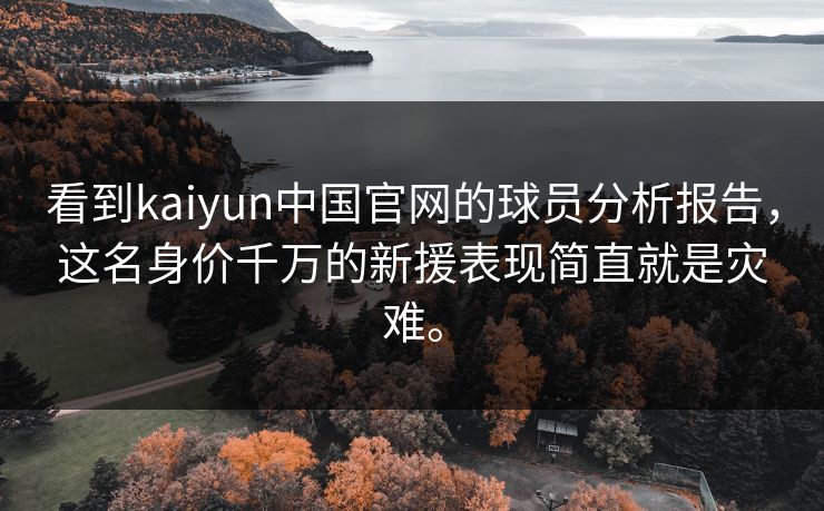 看到kaiyun中国官网的球员分析报告，这名身价千万的新援表现简直就是灾难。